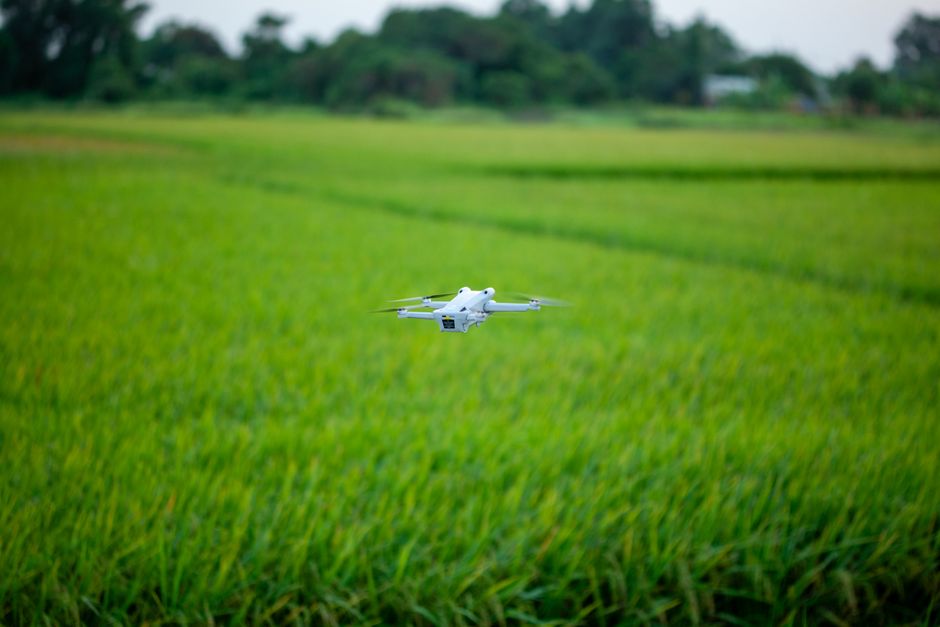 pexels photo 21364323 21364323 A drone hovering above a vibrant green agricultural field, showcasing modern farming technology.