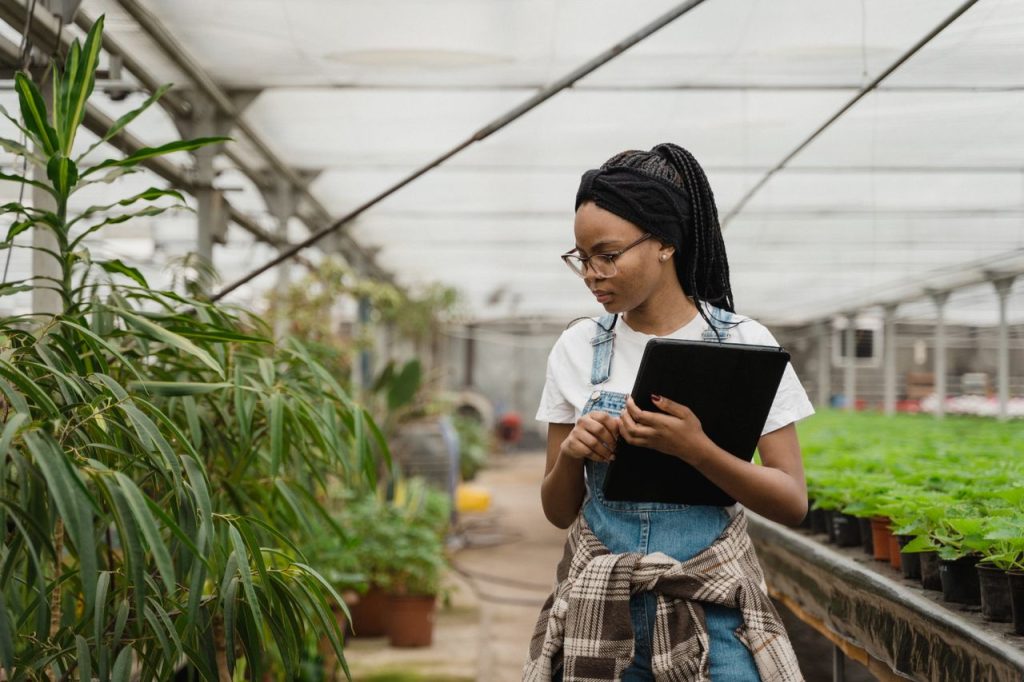 pexels photo 6510869 6510869 Woman in a greenhouse studying plants with a tablet, ideal for horticulture themes.